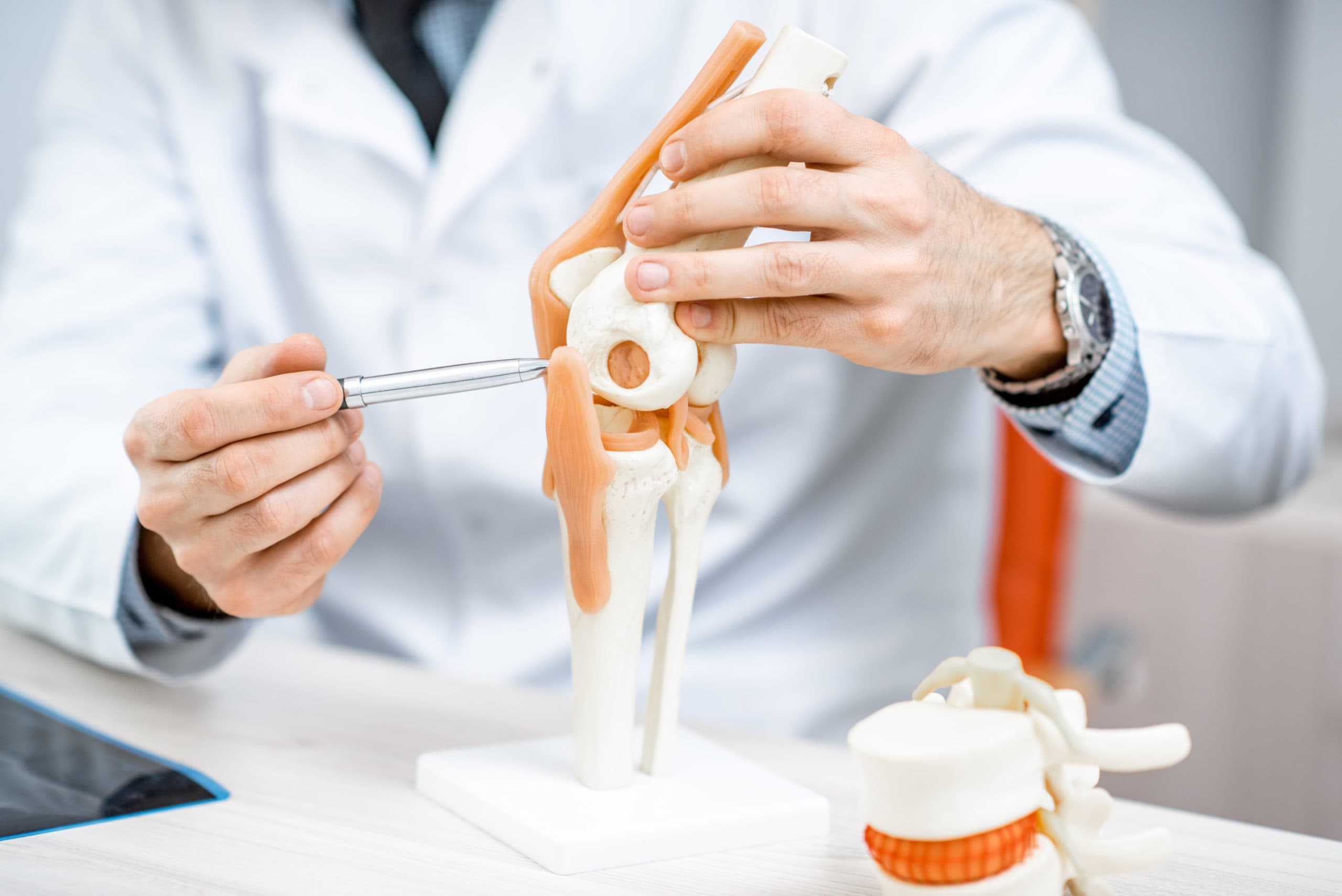 A clinician explaining a knee model